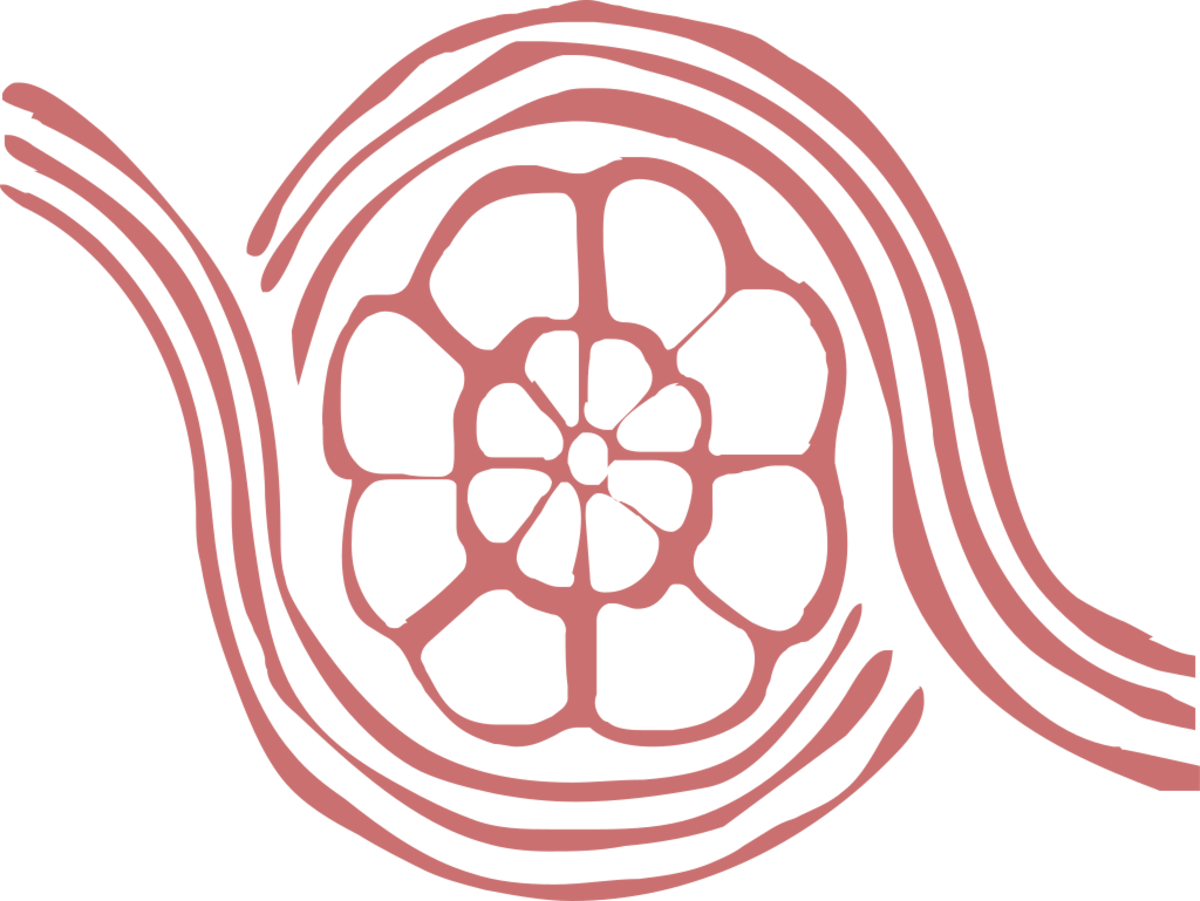 Santa Maria Della Strada Matrice